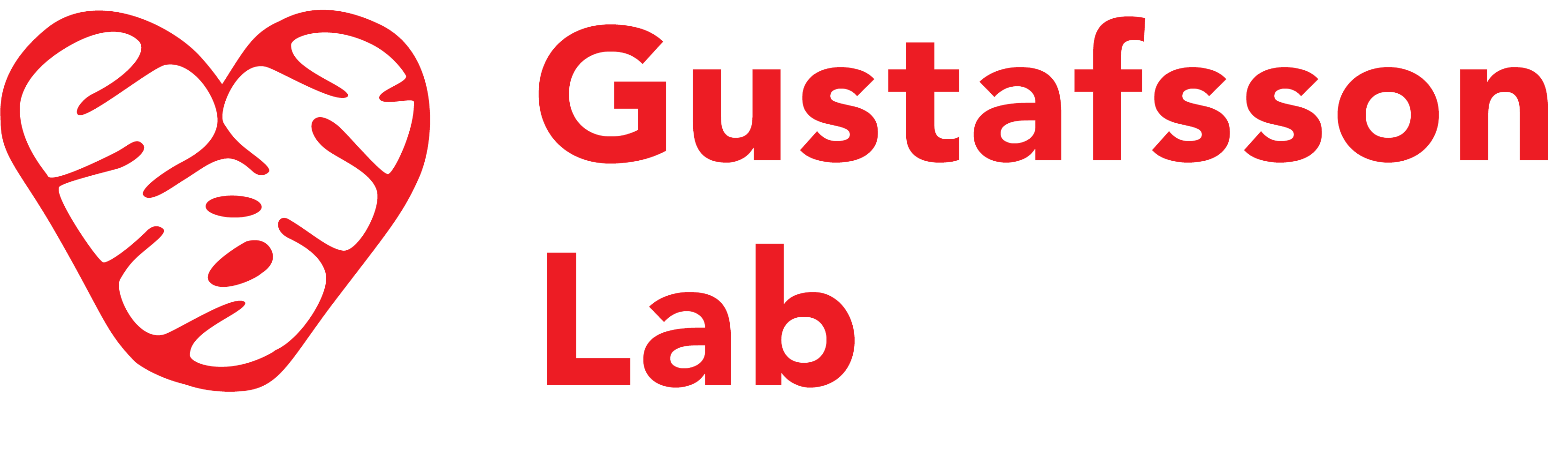 Gustafsson Lab